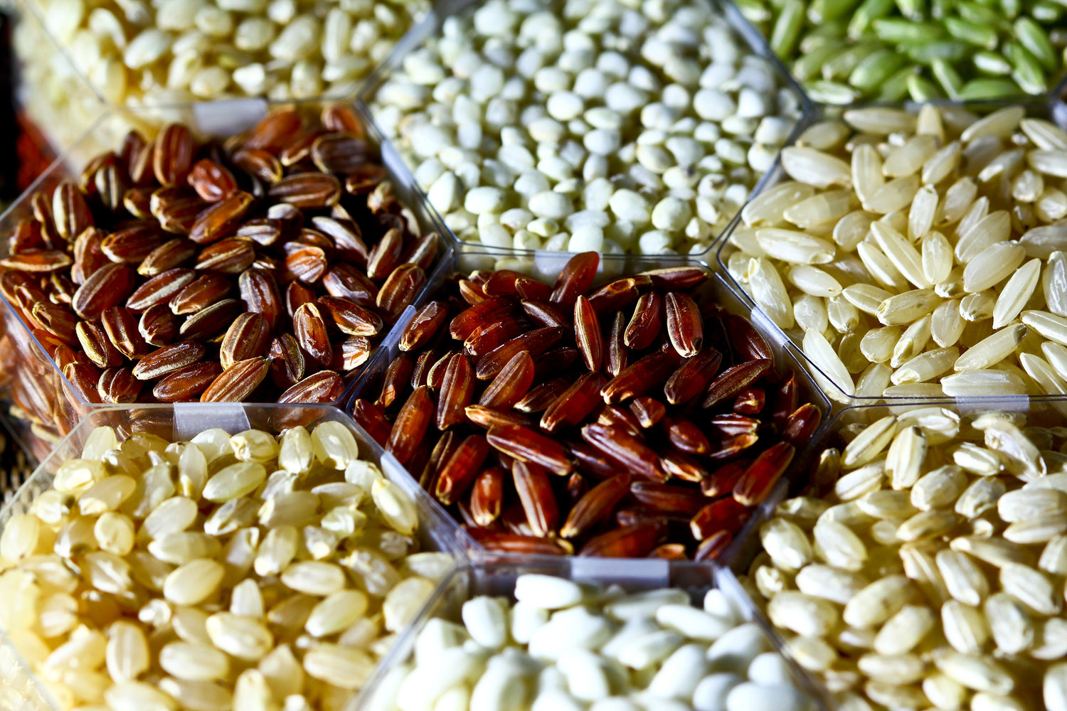 Traditional Rice variety