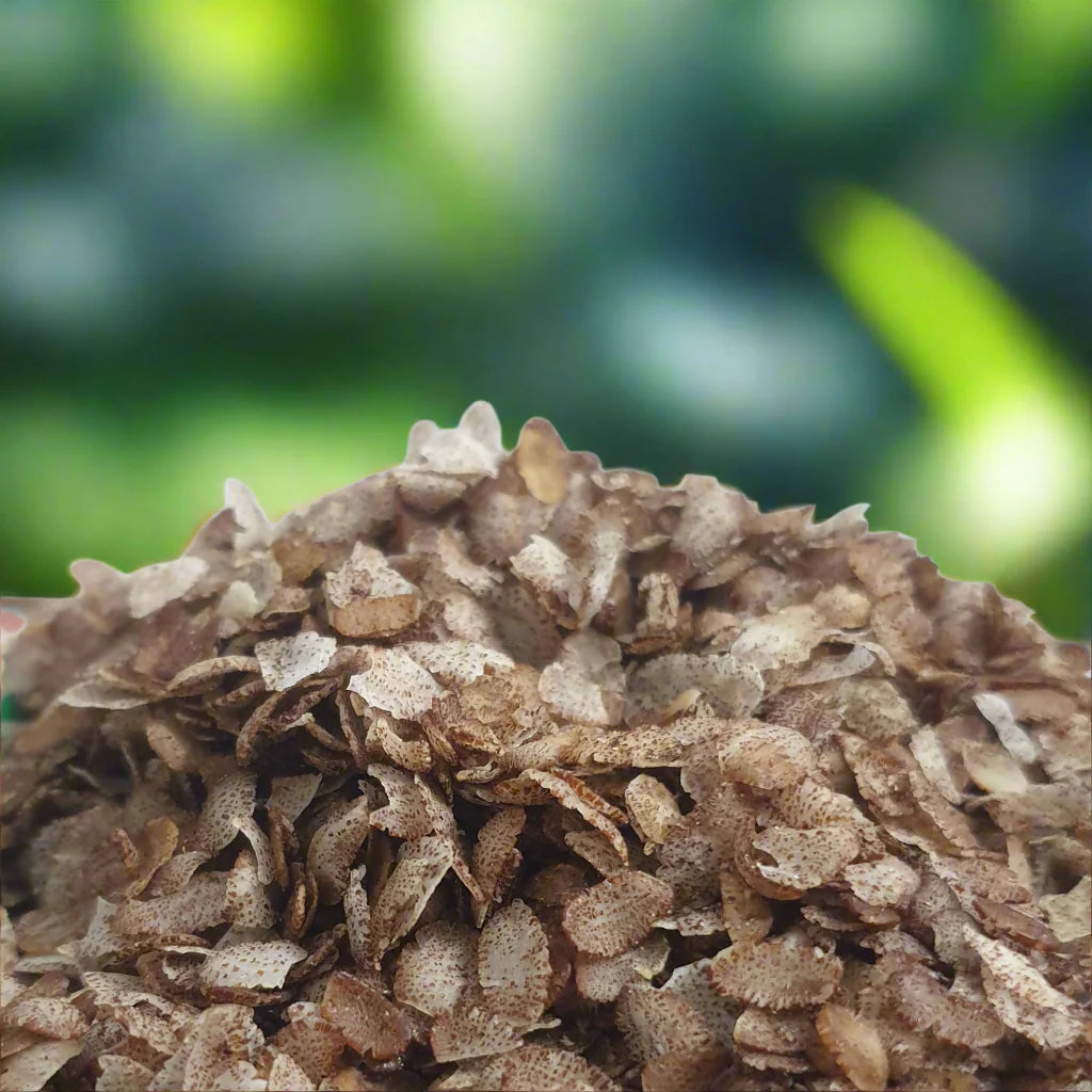 Rakthasaali Rice Flakes - ரத்தசாலி அவல்
