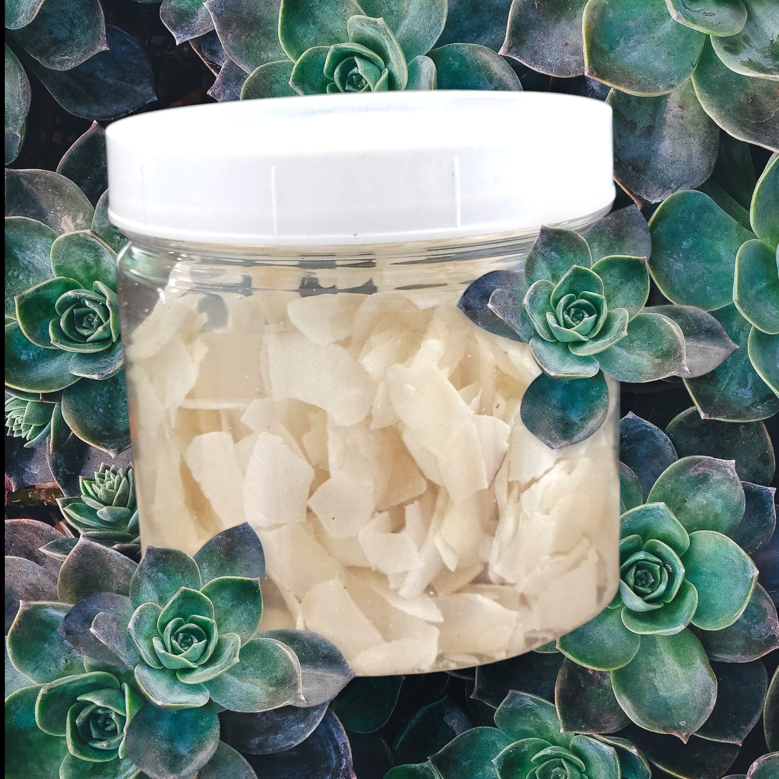 Coconut chips - Pineapple Flavour