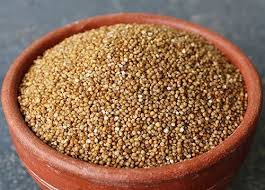 Barnyard Millet-குதிரைவாலி