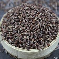 Black wheat-கருப்பு கோதுமை