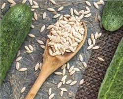 Cucumber seed-வெள்ளரி விதை