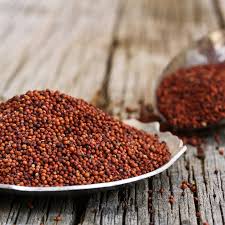 Finger Millet-ராகி