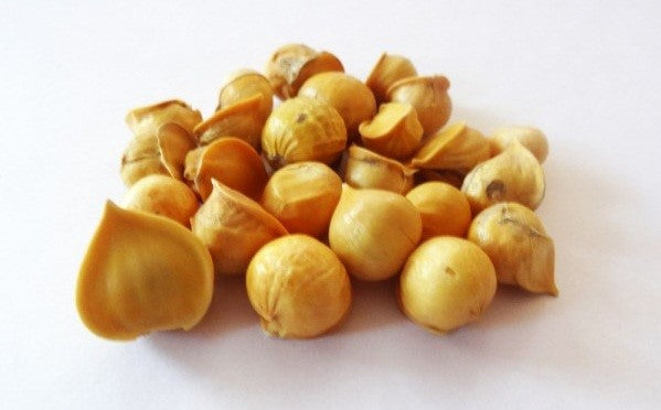 Himalayan Garlic