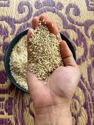 Iluppai poo samba Raw Rice-இலுப்பைப் பூ சம்பா பச்சை அரிசி