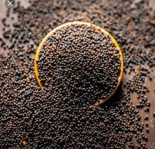 கடுகு(Black Bold)