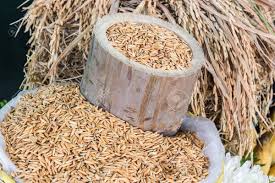 Moongil rice-மூங்கில் அரிசி