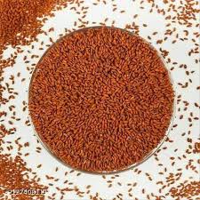 Halim / Salia seed