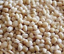 White urad dal whole-ஆர்கானிக் வெள்ளை உளுந்து