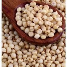 White Sorghum-வெள்ளை சோளம்
